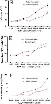Redox priming could be an appropriate technique to minimize drought-induced adversities in quinoa